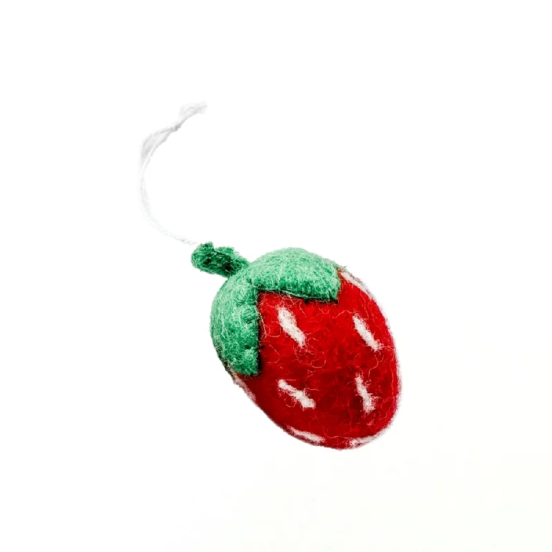 - Air box TSA certified check-inChristmas Decoration Felt Strawberry