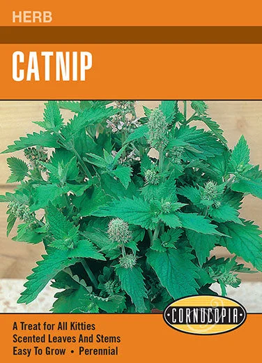 - Remote interactive pet feederHeirloom Catnip