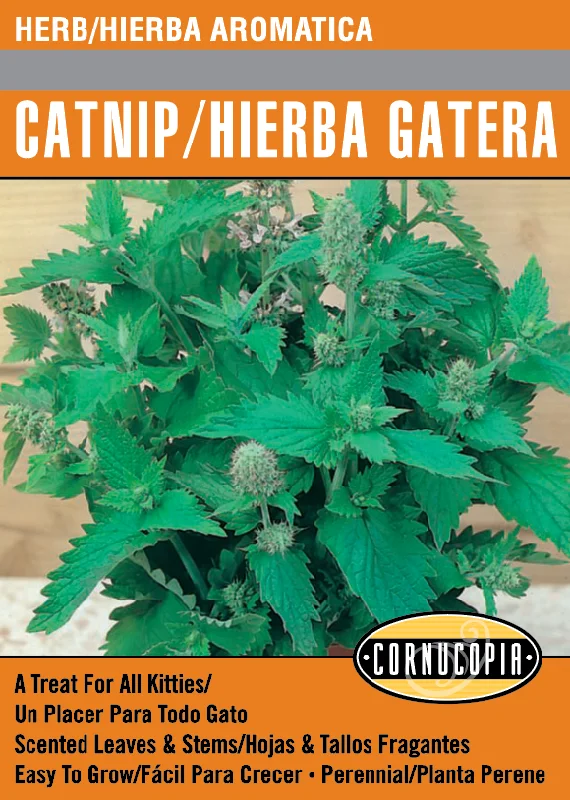 - Dog anti-slip matCatnip/Hierba Gatera - Spanish/English